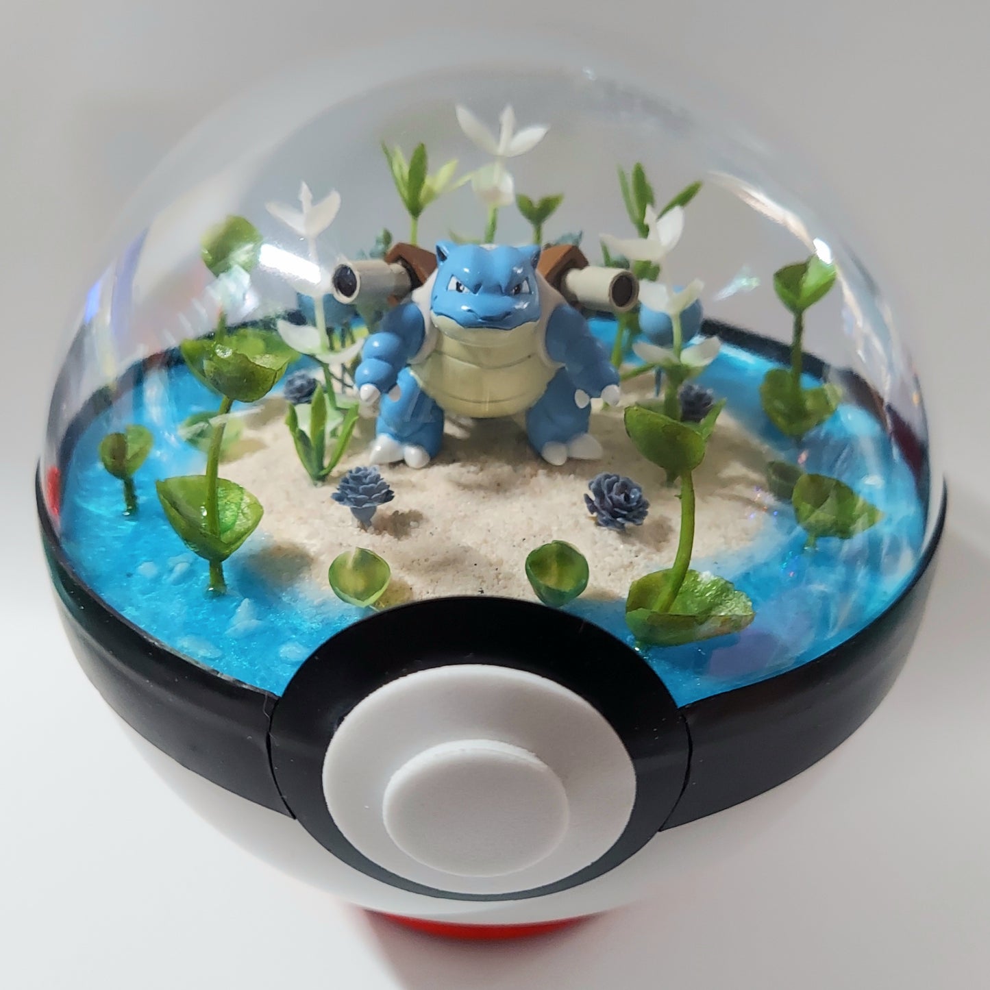 Blastoise Terrarium - Large