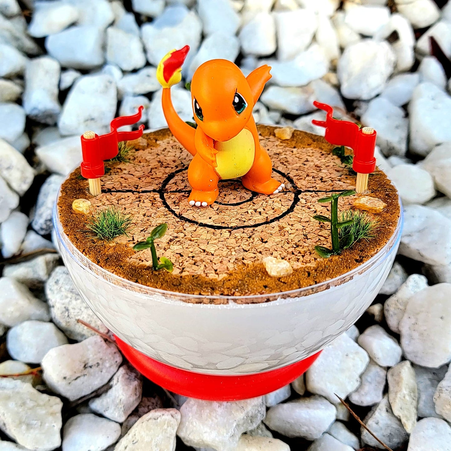 Charmander Fighting Terrarium